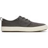 Toms Heren Carlo Terrain Schoenen