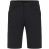 Peak Performance Heren Iconiq Short