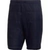 Adidas TERREX Heren TX Insulation Multi Shorts