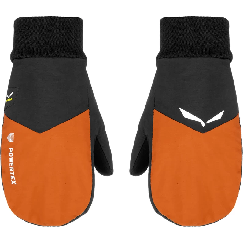 SALEWA Kinderen Kids PTX/TWR Mitten Handschoenen 1 SALEWA Kinderen Kids PTX/TWR Mitten Handschoenen